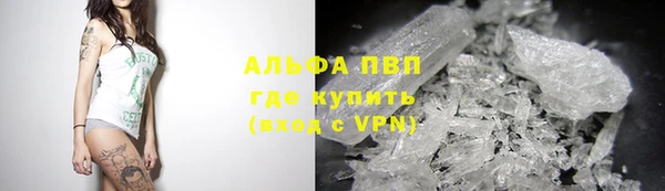 СК Алзамай